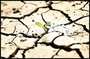 کرمانشاه 1200 لیتر در ثانیه کمبود آب دارد کرمانشاه 1200 لیتر در ثانیه کمبود آب دارد