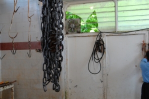 وضعیت بهداشتی اسفبار تنها کشتارگاه روانسر/ اینجا دامها به مرگ راضی هستند