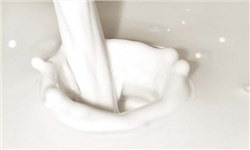 افزایش 10 درصدی قیمت‌ لبنیات/ شیر، ماست و پنیر گران می‌شود