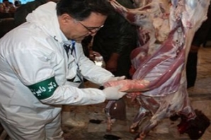 مورد ابتلا به بیماری کشنده تب کریمه در کرمانشاه مشاهده نشده است