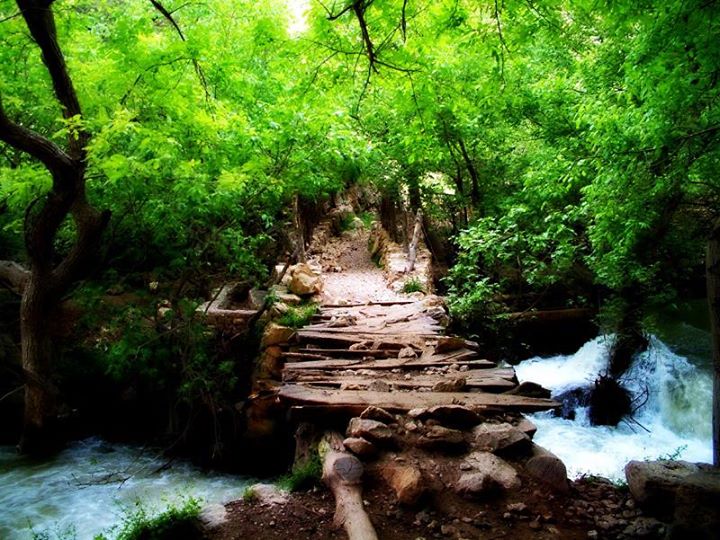 دیگر صدای ریزش آب از «ریژآو» نمیآید دیگر صدای ریزش آب از «ریژآو» نمیآید