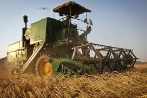 کاهش ۲۰ درصدی خرید گندم در استان کرمانشاه نسبت به سال گذشته کاهش ۲۰ درصدی خرید گندم در استان کرمانشاه نسبت به سال گذشته