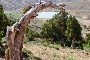 لشکر کشی آتش و خشکسالی برای نابودی ریه های غرب کشور/ بلندی هایی که سبز نمی مانند لشکر کشی آتش و خشکسالی برای نابودی ریه های غرب کشور/ بلندی هایی که سبز نمی مانند