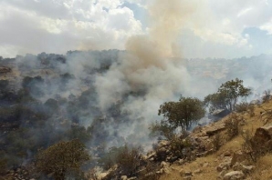 ژانر وحشت آتش سوزی جنگل های گیلانغرب به قسمت سیزدهم رسید + تصاویر ژانر وحشت آتش سوزی جنگل های گیلانغرب به قسمت سیزدهم رسید + تصاویر