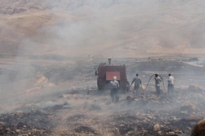 لباس سبز کرمانشاه سیاه شد/ روایتی تلخ از ذغال شدن پوشش جنگلی لباس سبز کرمانشاه سیاه شد/ روایتی تلخ از ذغال شدن پوشش جنگلی