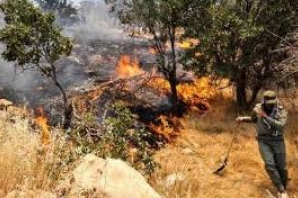 مهار کامل آتش سوزي در 10 هکتار از جنگلها و مراتع دهستان بدر شهرستان روانسر 