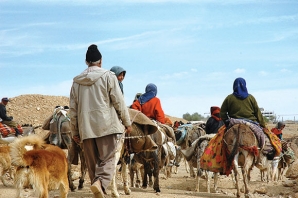 	تیغ تیز دلالان بر گلوی زندگی مرتع نشینی/ وقتی کوچرو بودن دیگر به صرفه نیست 