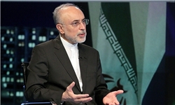 سرنوشت برجام روشن نیست/ کنگره برجام را نپذیرد هم پیروزیم