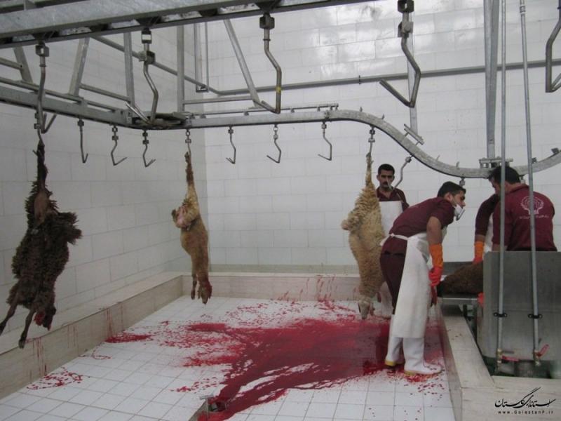 تعطیلی کشتارگاه غیر بهداشتی روانسر در هاله ای از ابهام/ مصوبه شورای بهداشت هم راه به جایی نبرد + سند 