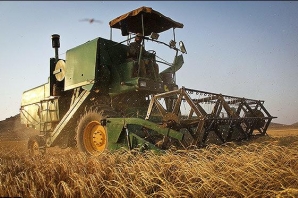 	۷۵ درصد مطالبات گندم کاران کرمانشاهی پرداخت شده است 