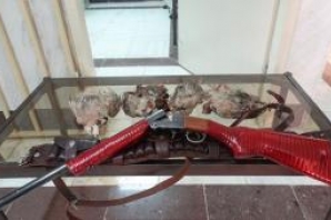 دستگیری چهار شکارچی غیر مجاز و کشف و ضبط دو قبضه اسلحه پران در روانسر 