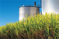 رییس سازمان گسترش و نوسازی صنایع ایران: برای پاسخگویی به اشتغال باید طرح‌های صنعتی جدید ایجاد کنیم