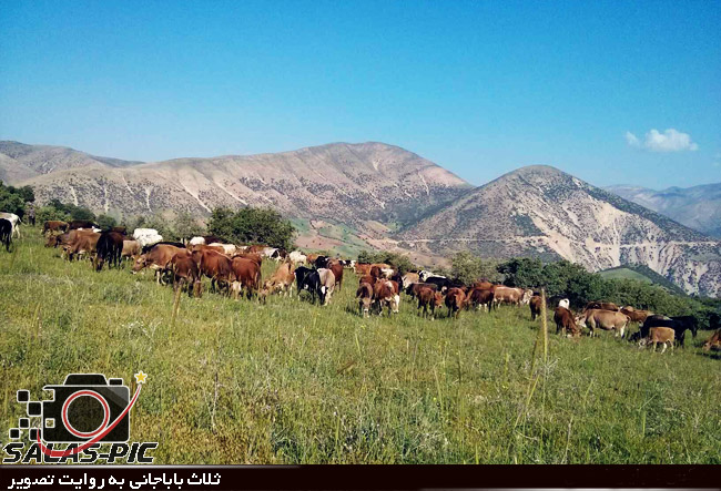  تصاویری از زیبایی های طبیعت در ثلاث باباجانی 