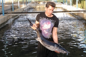 	پرورش دهندگان خاویار از مشکلاتشان می گویند/ گرداب مشکلات اداری برای تولید طلای سیاه در گیلانغرب 