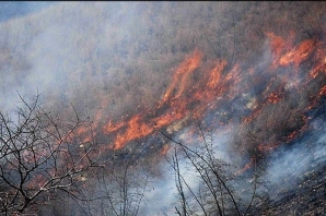 	وقوع حریق در۱۷۵هکتار از جنگلهای گیلانغرب/ ۵۰۰ میلیون خسارت واردشد 