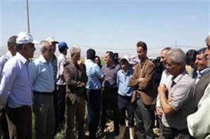 آمادگی برای کشت پاييزه در شهرستان سنقروکلیایی+تصویر آمادگی برای کشت پاييزه در شهرستان سنقروکلیایی+تصویر