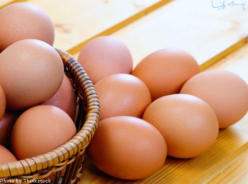 	سالانه ۱۰ هزار تن تخم مرغ در کرمانشاه تولید می شود 