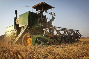 	بیش از 99 درصد مطالبات گندمکاران کرمانشاهی پرداخت شده است 