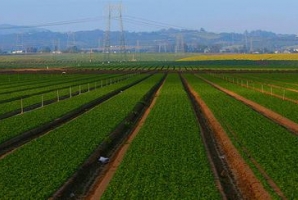 	پروژه "گندمبان" و "بان‌خوشاب" گرفتار کمبود اعتبار یا فقدان برنامه؟/ بسیج برای حل مشکل به میدان می آید 