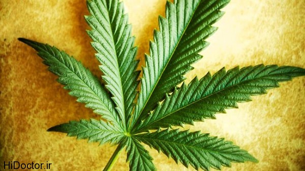  عوارض جسمانی و روانی مصرف حشیش 