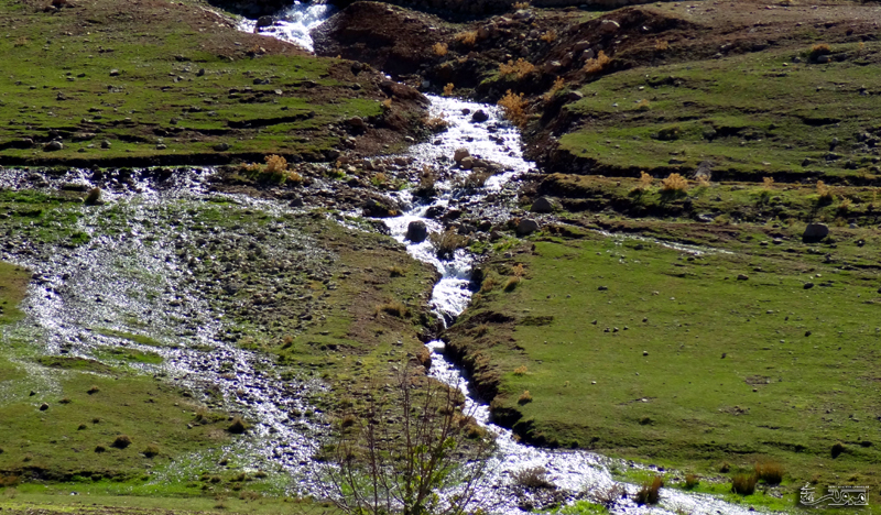 چالشهای سازمان محیطزیست وسیاستهای ابلاغی/ساختارکنونی جوابگونیست چالشهای سازمان محیطزیست وسیاستهای ابلاغی/ساختارکنونی جوابگونیست