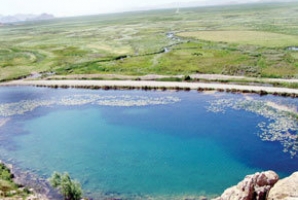 	سایت پرنده نگری هشیلان موقعیتی برای انجام تحقیقات علمی است 