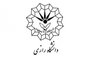 	سمینار تخصصی معماری در دانشگاه رازی کرمانشاه آغاز شد 