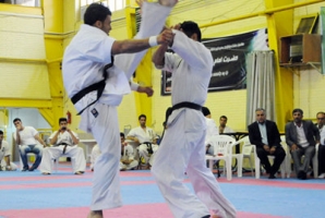 	رزمی کاران کرمانشاهی ۲ طلا و ۱ برنز کسب کردند 