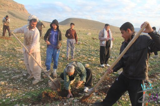 	احیاء بیش از35 هکتار از مراتع طبیعی شهرستان سرپل‌ذهاب 