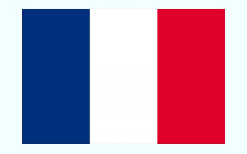 فرانسه اعدام آیت الله نمر را به شدت محکوم کرد