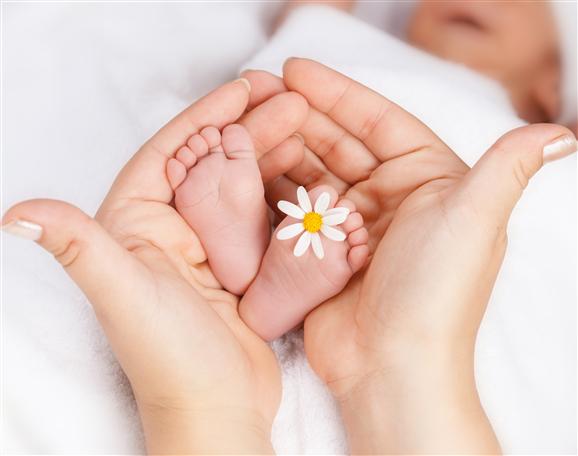  چربی هایی که موجب ناباروری می شوند 