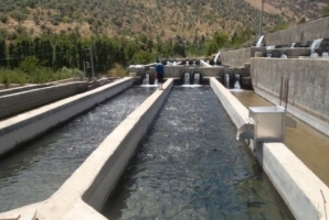 	اعطای بیش از ۱۷میلیارد تومان به طرح های اقتصادمقاومتی در کرمانشاه 