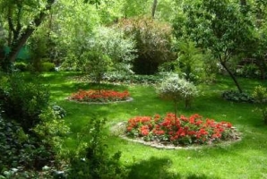 	سرانه فضای سبز در کرمانشاه به میانگین کشوری می رسد 