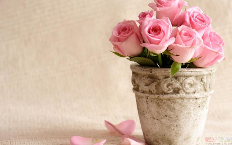  راهنمای انتخاب گلدان مناسب منزلتان 