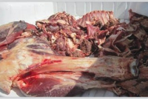 	کشف و ضبط بیش از ۶۰ هزار تن گوشت آلوده در کرمانشاه 