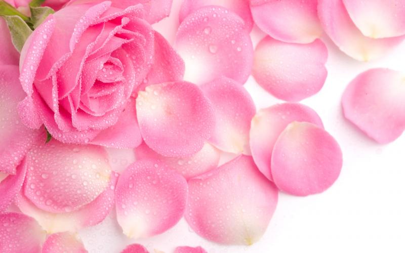  فوت و فن اپیلاسیون هر قسمت از بدن 