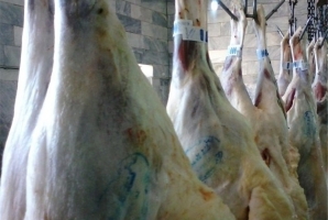 	دوره آزمایشی پیش سرد در کشتارگاه بیستون با موفقیت انجام شد/ ساماندهی کشتارگاه بیستون 