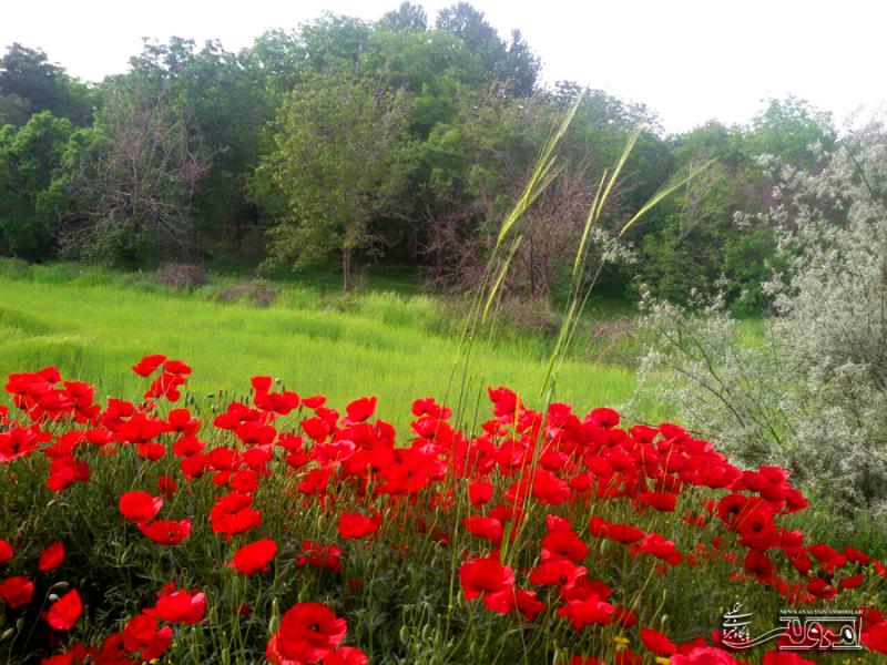 اگر اردیبهشت ماه قصد سفر دارید بخوانید! اگر اردیبهشت ماه قصد سفر دارید بخوانید!