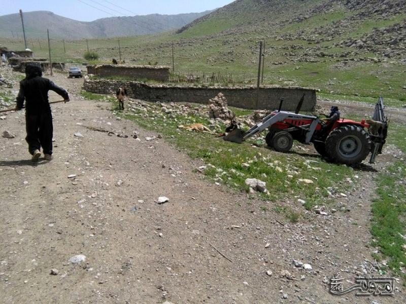 شیوع بیماری تب برفکی درروستای کوری زاغه دینور باعث مرگ صدها رأس گاو و گوسفند شد+ تصویر شیوع بیماری تب برفکی درروستای کوری زاغه دینور باعث مرگ صدها رأس گاو و گوسفند شد+ تصویر