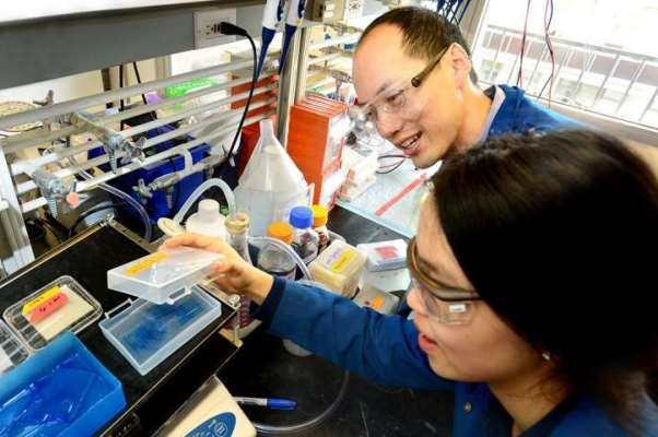 کلید درمان چاقی کشف شد کلید درمان چاقی کشف شد