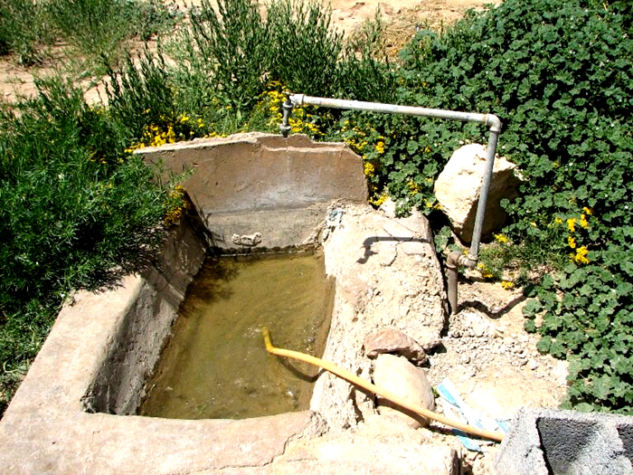 روستایی میر عزیزی شهرستان صحنه در فصل گرم سال از آب آشامیدنی سالم بی بهره است