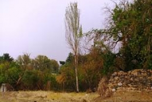 	ساخت و ساز و تغییر کاربری در باغات «سراب قنبر» کرمانشاه ممنوع است 