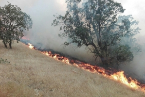 	عملکرد نامطلوب در کنترل آتش سوزی جنگلهای کرمانشاه/ نتیجه یک غفلت سیاسی از مدیریت بحران؟ 