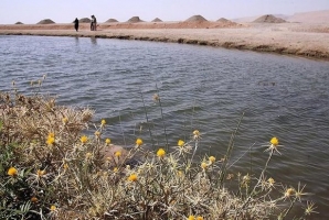 	وجود ۸۰ سراب در استان کرمانشاه/ وضعیت تالاب ها مطلوب است 