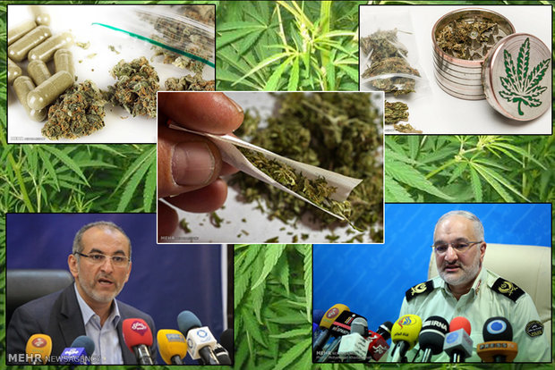 جهش‌های آزمایشگاهی موادمخدر/ کشت «گل» درگلدان‌های خانگی!