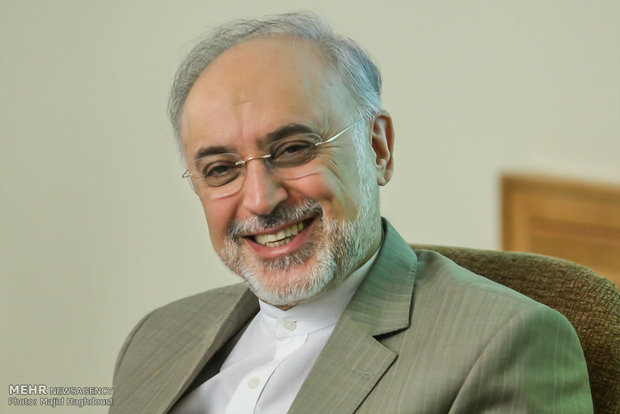 اراده کنیم می‌توانیم ظرف ۵ روز غنی‌سازی ۲۰ درصد را آغاز کنیم