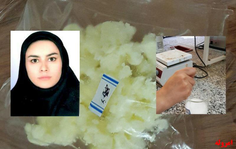 نایلون هایی که دوست دار محیط زیست هستند نایلون هایی که دوست دار محیط زیست هستند