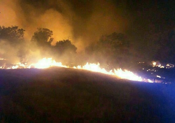 آتش سوزی در بخشی از جنگلهای ارسباران آتش سوزی در بخشی از جنگلهای ارسباران
