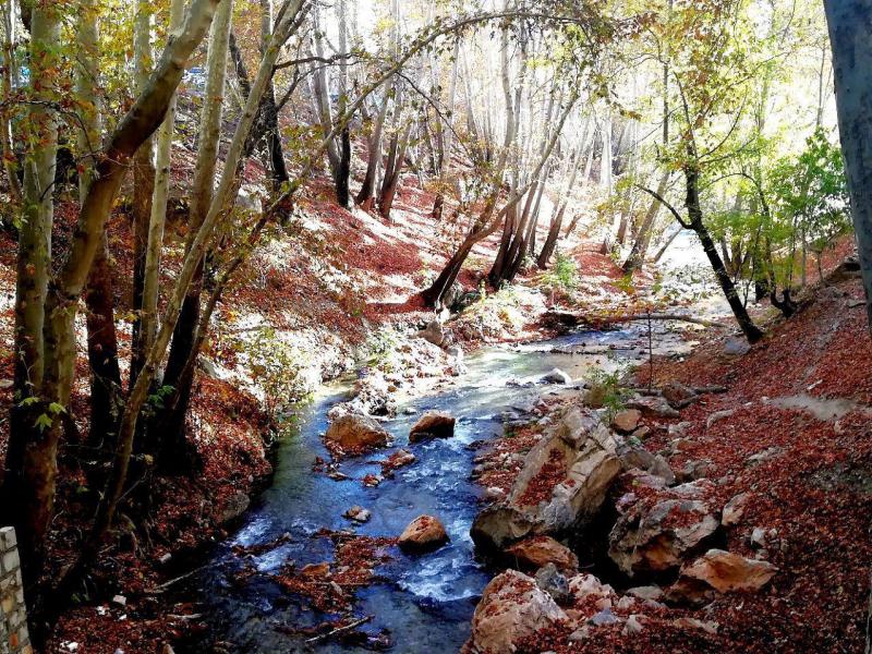 طبیعت بسیار زیبای پاییز در نقاط مختلف شهر صحنه 
