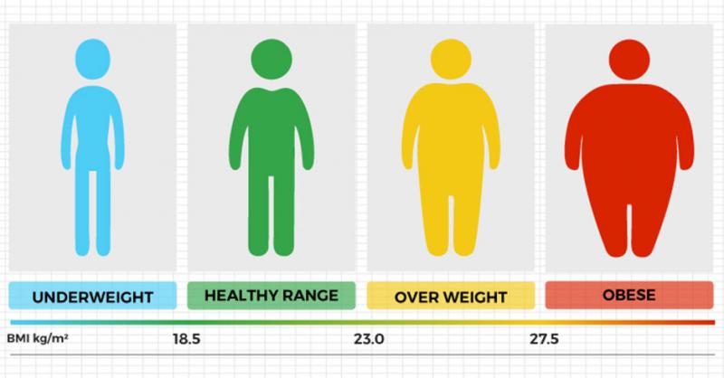 شاخص توده بدنی یا BMI شاخص توده بدنی یا BMI